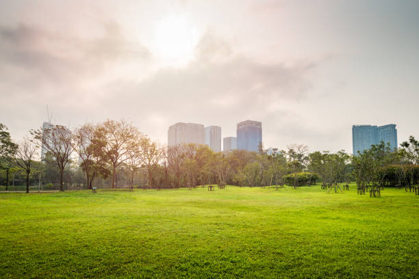 istock Green grass field with building in Public Park 969034690