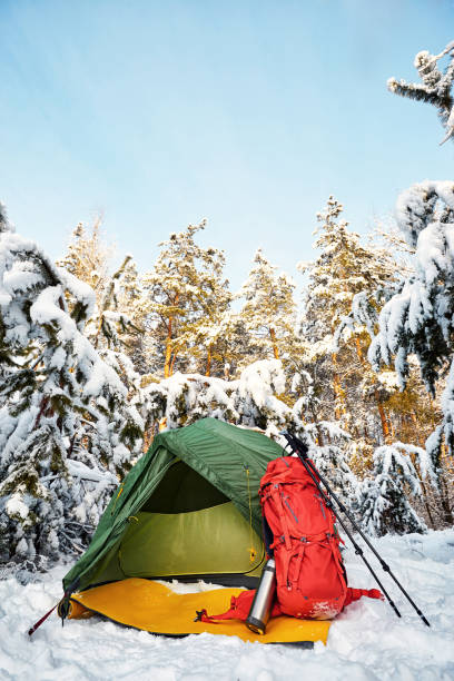 istock Walk through the winter forest with a backpack and tent. 969035016