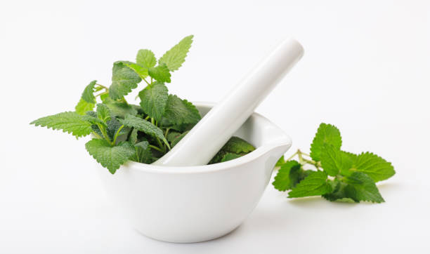 menta fresca - alternative medicine mortar and pestle herbal medicine herb foto e immagini stock