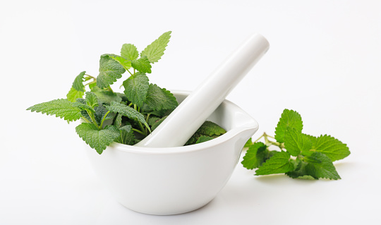 Fresh mint in a mortar on white background