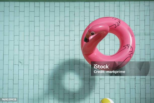 A Flamingo Ring Stock Photo - Download Image Now - Beach Ball, Inflatable, Flamingo