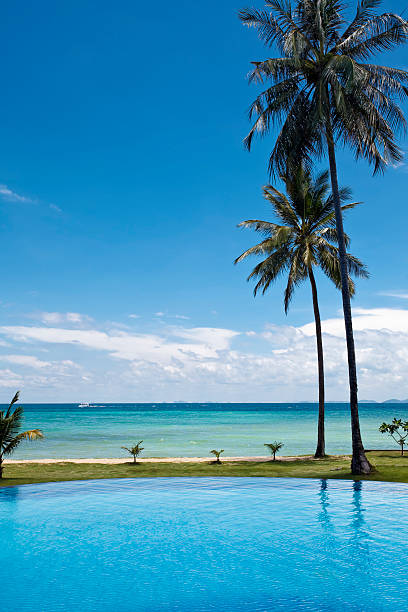 istock Swimming pool and palm trees. 96904688