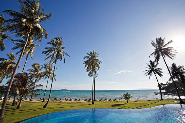 istock Swimming pool and palm trees. 96904696