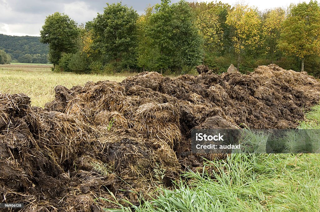 Dung heap - Lizenzfrei Agrarbetrieb Stock-Foto
