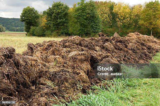 Dung Heap Stockfoto und mehr Bilder von Agrarbetrieb - Agrarbetrieb, Anhöhe, Bedecken