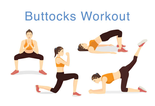 ilustrações de stock, clip art, desenhos animados e ícones de illustration of 4 moves to lift buttocks with workout. - women human leg body buttocks