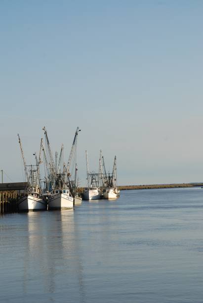 istock Shrimp boats on Darien river 969073910
