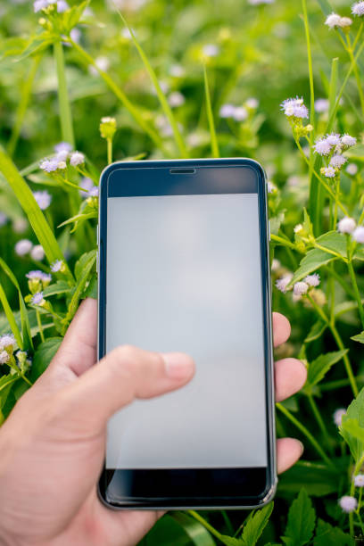 istock Hands hold smartphone with graphs marketing and cyber technology background. Marketing checking on smartphone. 969076138