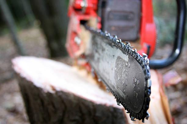 Closeup of modern metal saw chain on guide bar of portable power cutting tool at firewood preparing