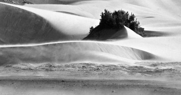 istock a windy day in Borkou region, Chad (Tchad) 969084660