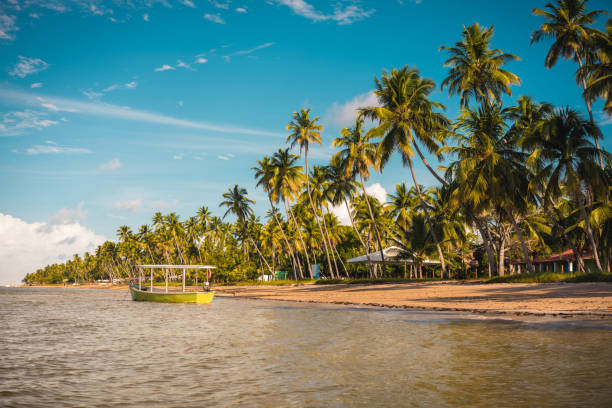 istock Carneiros Beach in Brazil 969086696