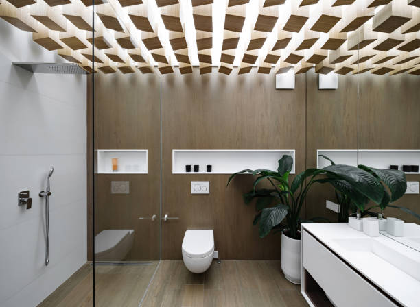 Bathroom in modern style Luminous modern bathroom with design ceiling and wooden walls. There is a glass shower cabin with light tiled wall, white toilet, sink with a mirror, white niches, plant in the big pot. Horizontal. niche photos stock pictures, royalty-free photos & images