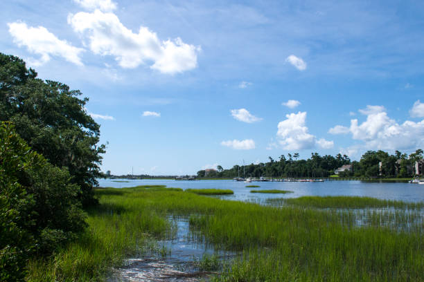 airlie garten in wilmington north carolina - geschichte, garten und reisenden freude - cape fear stock-fotos und bilder