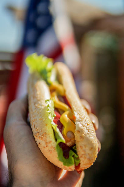 Hot dog in a hand