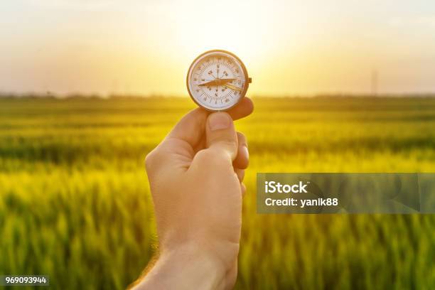Hand Holding Compass And Rice Field Sunset Stock Photo - Download Image Now - Navigational Compass, Circle, Agricultural Field