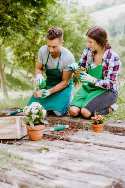 istock Young adult couple doing gardening together 969096702