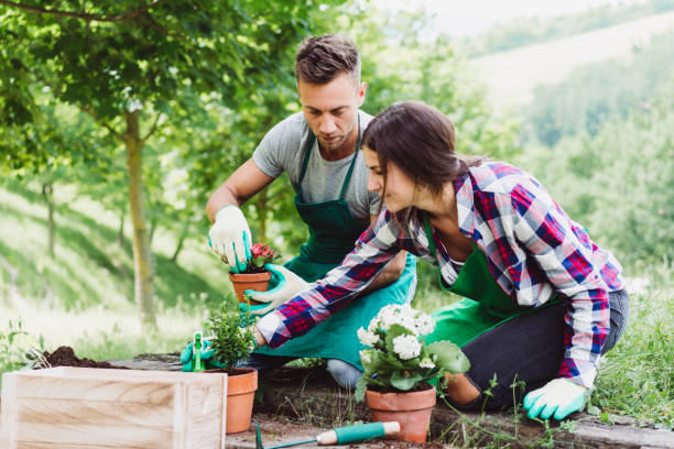 Young adult couple doing gardening together