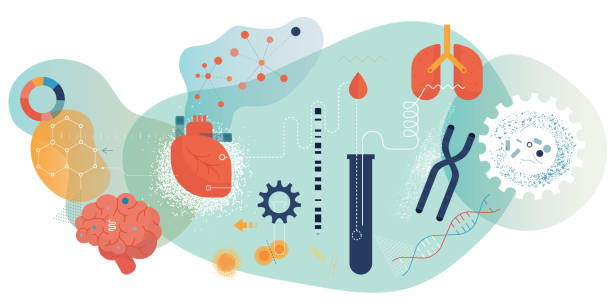 Biomedical Engineering Horizontal Vector illustration depicting biomedical engineering. stem cell illustrations stock illustrations