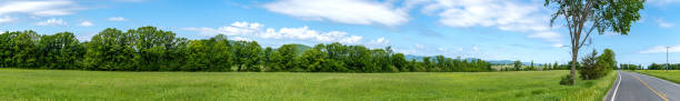 istock Panoramic view of a land in summer 969097222