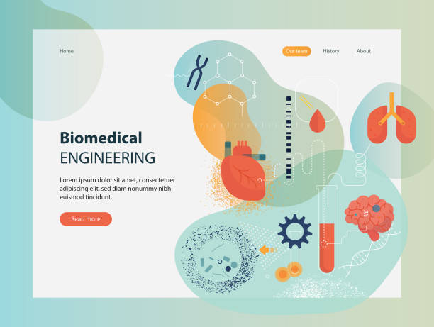 Biomedical Engineering Template Website template depicting biomedical engineering. human cell illustrations stock illustrations
