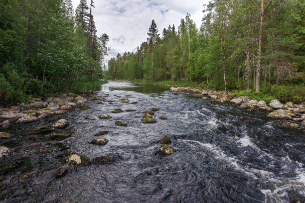 istock Forest over the stormy river, Finland 969106782