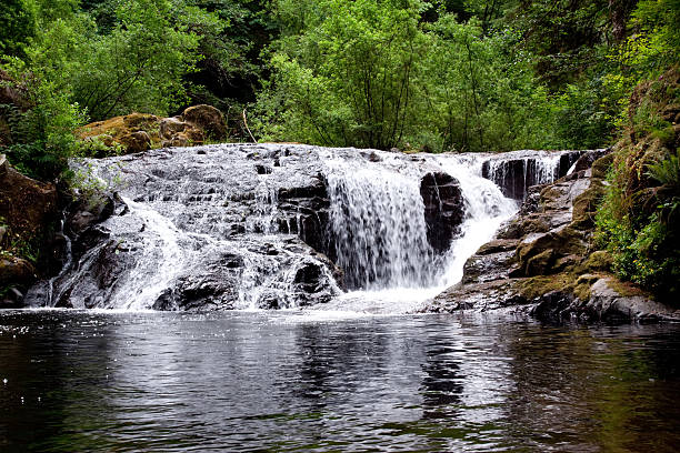 istock Sweet Creek Falls waterfall in Oregon 96911287