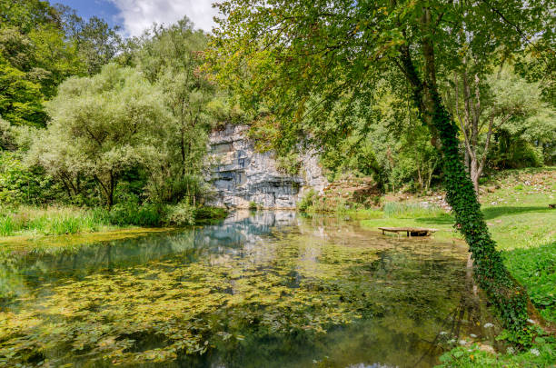 istock Krupa river source, Bela Krajina, Slovenia. 969114452