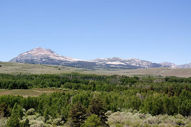 istock Scenic view of the Sierra Nevadas 96911701