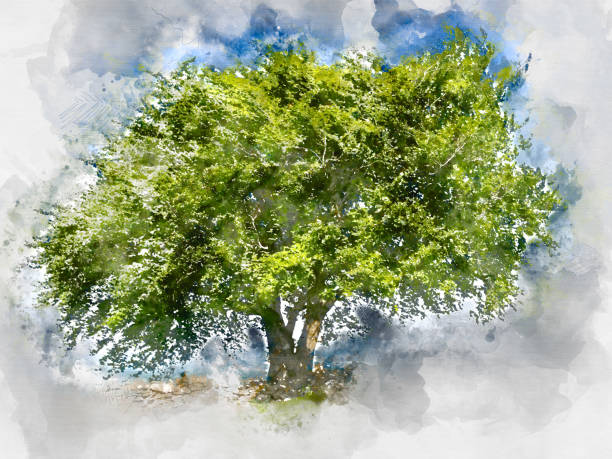 istock Watercolour painting of a Tree 969133244