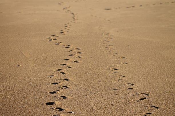 istock Asbury Park, New Jersey - Footprints - Photography 969136500