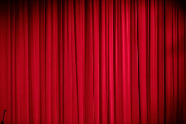 istock The theater cat show displayed exactly through the studio spotlights. 969136744