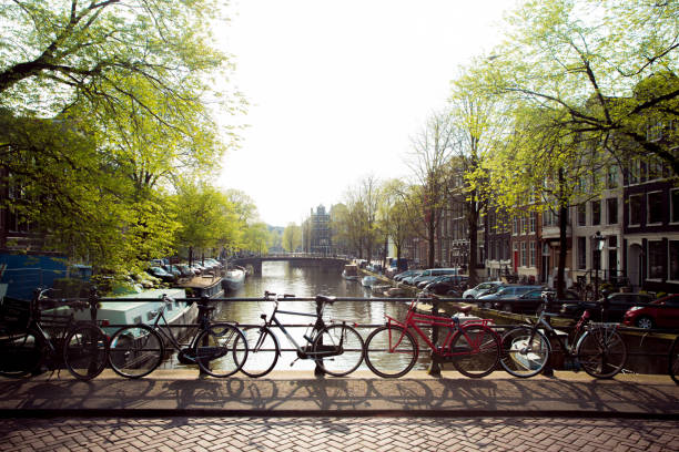istock Bicycles on the bridge in Amsterdam 969139964
