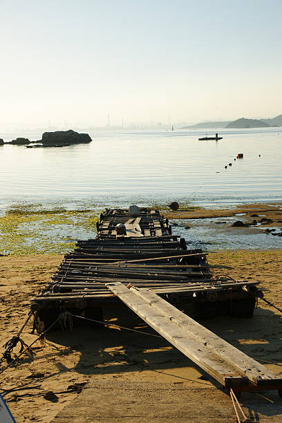 Old wooden made dock on the beach stock photo