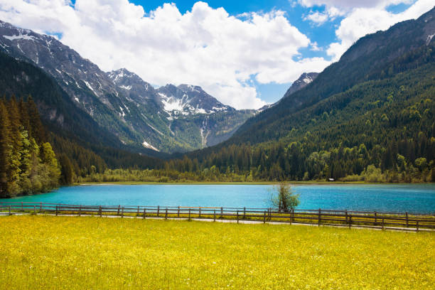 prado de flor e lago de montanha. - 15855 - fotografias e filmes do acervo