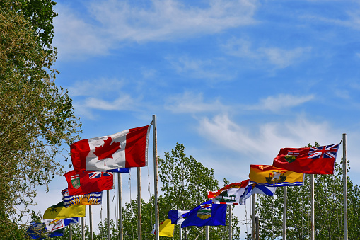 An image of the Canadian flag and Provincial Flags waving in the wind.