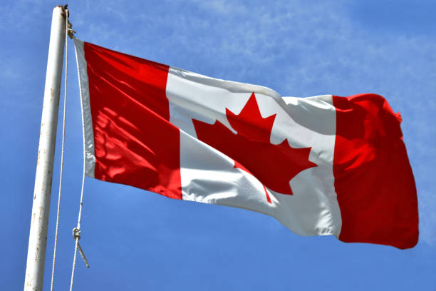 istock Waving Canadian Flag 969143384
