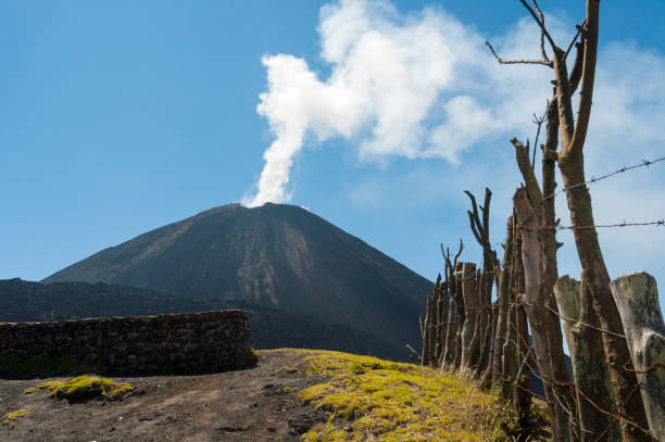 eruzione nel vulcano pacaya in guatemala, america centrale. 2552 metri. cordillera sierra madre, america centrale. - 2552 foto e immagini stock