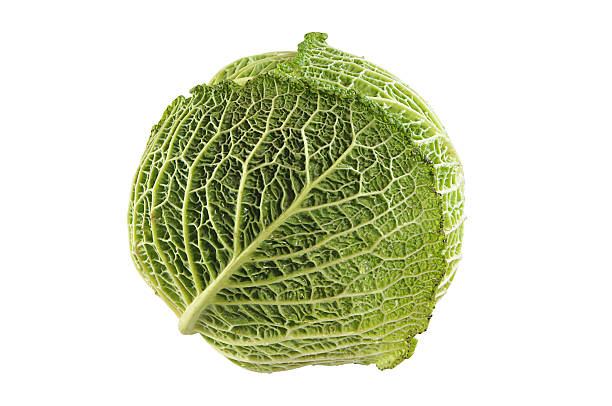 Head cabbage stock photo