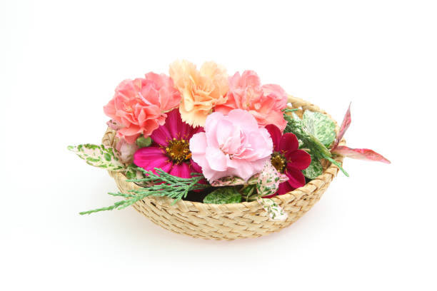 istock flower basket in a white background 969152694
