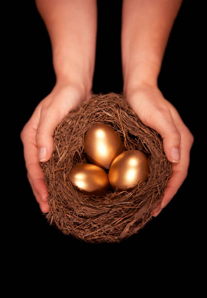 istock WOMAN HOLDING BIRD NEST CONTAINING THREE GOLD EGGS 969155352