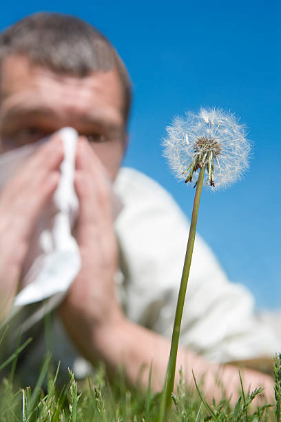 pollen hypoallergénique - Photo