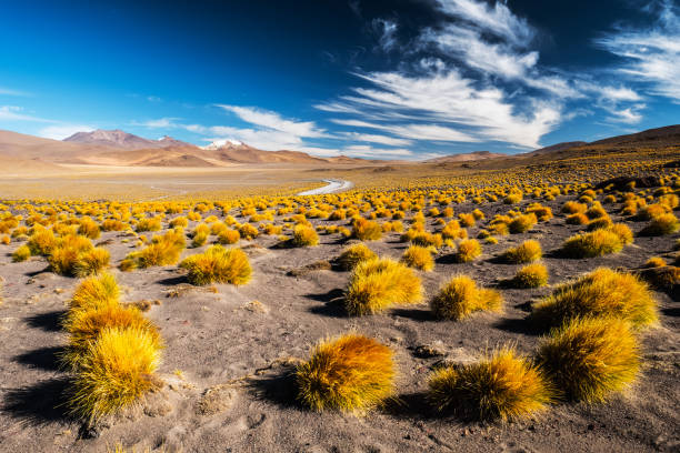 istock Desert with mountains and vegetation 969175066
