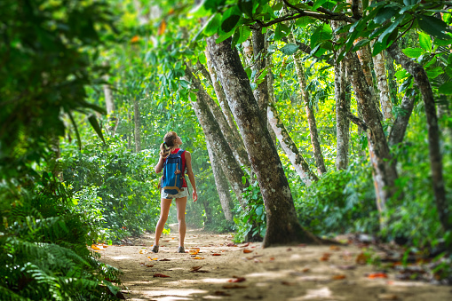Young woman hiker stands in the tropical lush forest and looks at the trees. Tilt shift effect applied on the edges