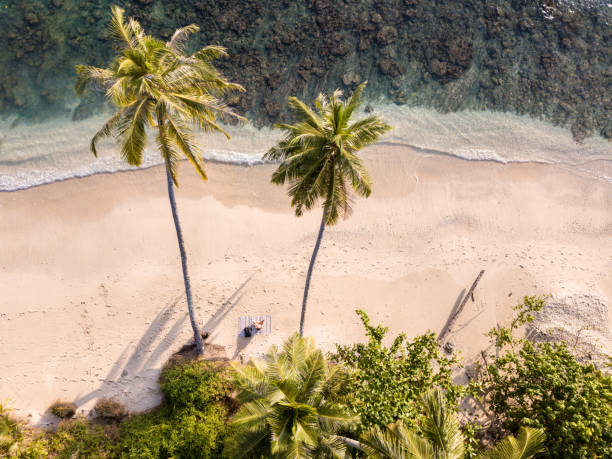 istock Woman sunbathing under two palm trees 969180970