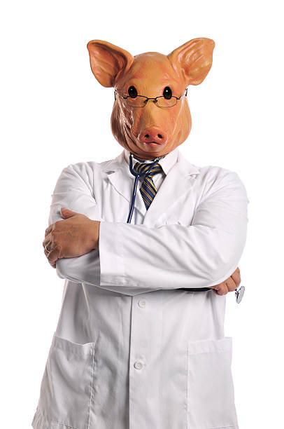 돼지 독감 metaphor - flu virus russian influenza swine flu virus 뉴스 사진 이미지