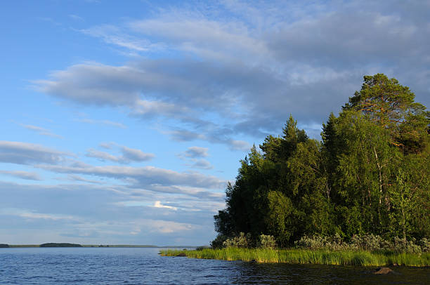 istock Northern forest islands in a huge lake 96918423