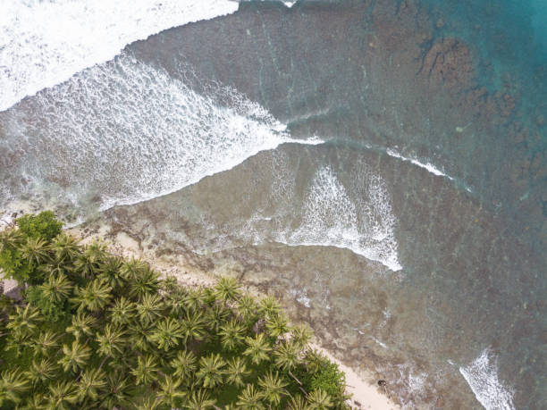 istock Waves next to a tropical island from above 969187202