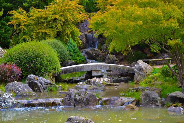 야 마 공원 (parque 데 야마구치), 팜 플로 나, 스페인에 있는 일본 정원 - fountain water stone falling water 뉴스 사진 이미지