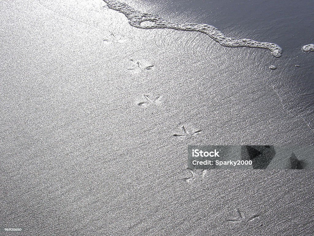 Uccello stampa nella sabbia - Foto stock royalty-free di Piovanello maggiore