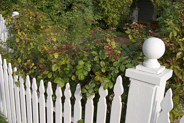 istock Picket Fence Detail 96920674